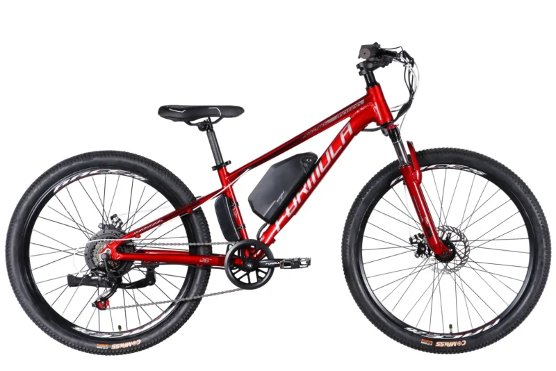 Електровелосипед Моушн Формула Formula eMOTION Формула  26" AL Formula eMOTION DD FR рама-13" 36B 10А*г 500Вт червоно-сріблястий 2026 купити електро велик