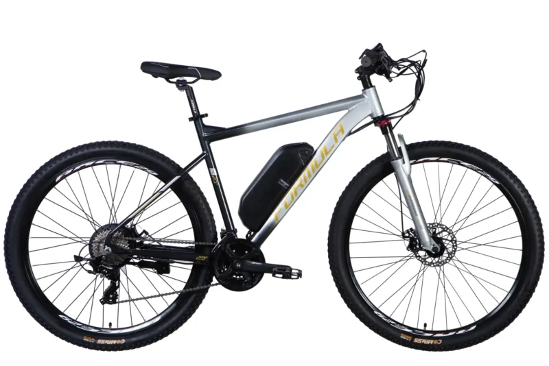 Електровелосипед Ф-1 Формула Formula eF-1 Формула  29" AL Formula eF-1 DD CS рама-21" 48B 12.5А*г 500Вт сріблясто-чорний 2026 купити електро велик