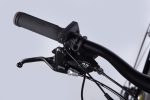 купити  29" ST Formula eHEAVY DUTY DD FR рама-19" 36B 12.5А*г 500Вт коричневий (матовий) Pantone black 2C matt 2025 електровелосипед