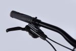 Велосипед AL 29" Formula ZEPHYR EXPERT HDD рама-21" золотисто-коричневий 2025 формула велосипед