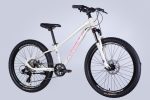 Велосипед AL 24" Formula THOR DD CS рама-12" біло-рожевий 2025 замовити
