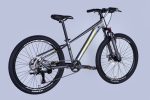 купити Велосипед AL 24" Formula ZEPHYR 3.0 DD CS рама-12" сіро-зелений 2025